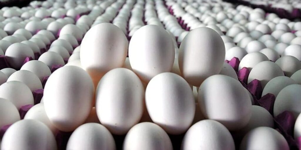 fazla uretilince fiyatlar dustu NHp2cyHS