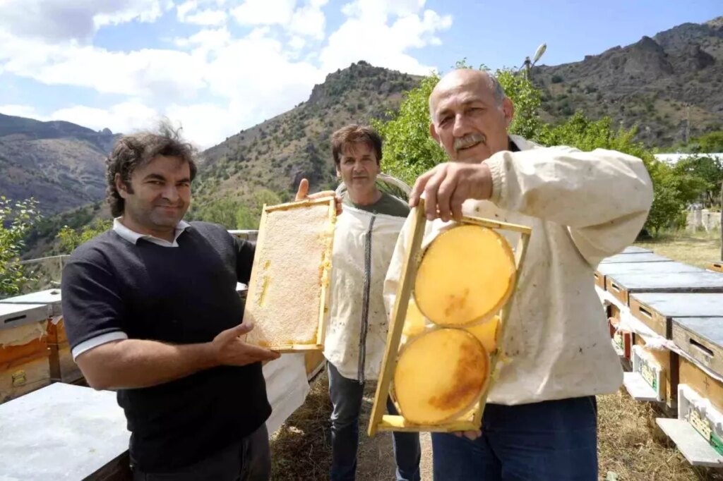 gumushanede bal rekoltesi yukseldi 4p6wW9Ps