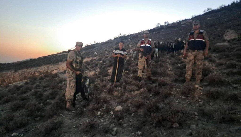 kiliste kaybolan 26 kucukbas hayvan bulundu VSqnGE8K