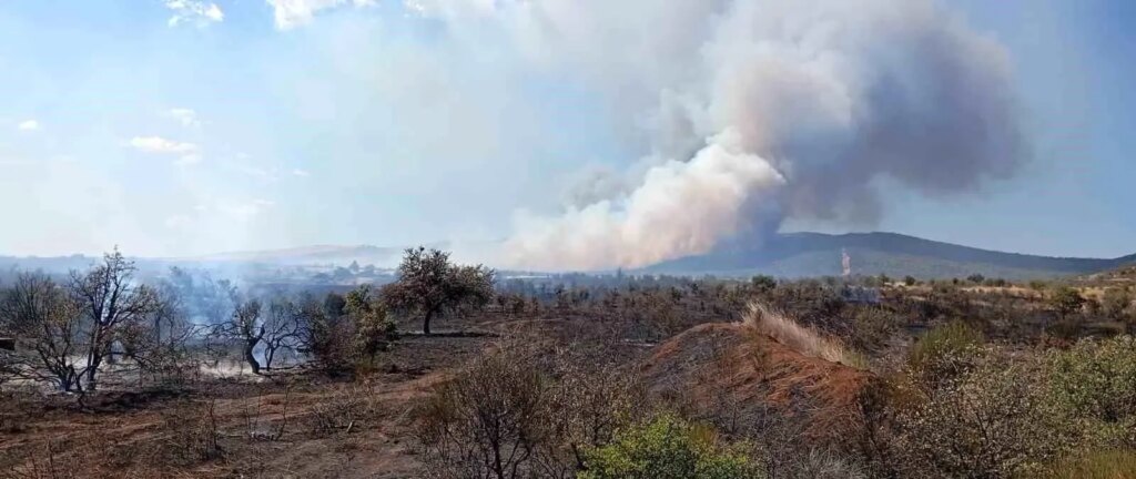 canakkalede yangin ormana sicradi agnhMpzX