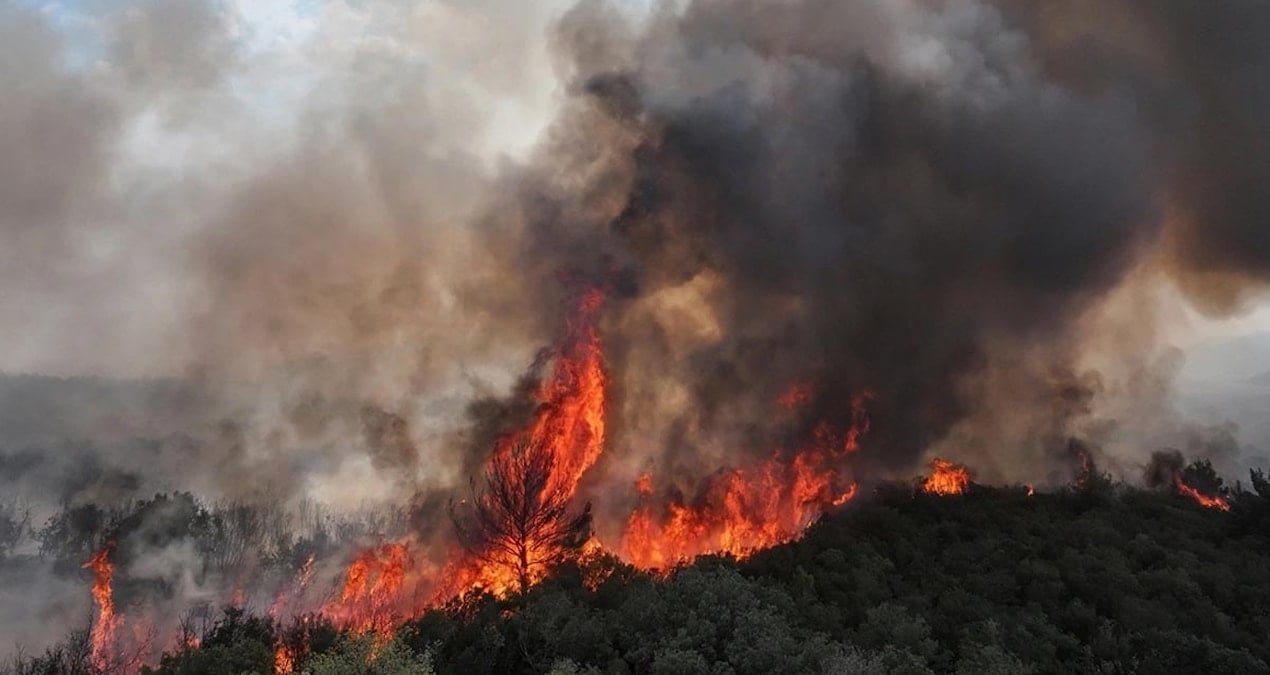 edirne ipsalada aniz yangini agaclik alana sicradi 91vxdq9T