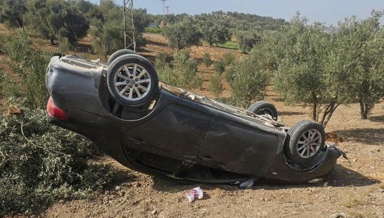 hatayda otomobil zeytin bahcesine uctu uT7OcGE5