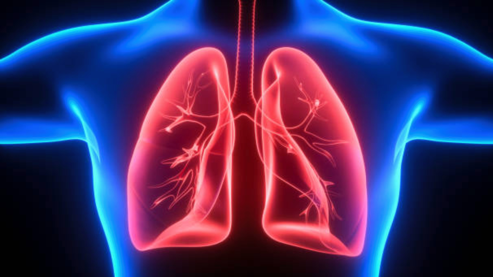 samsunda 1 yilda 188 kisiye nadir gorulen akciger hastaligi tanisi konuldu bircok kanser turunden daha fazla olume yol acabiliyor pEB3FjVK