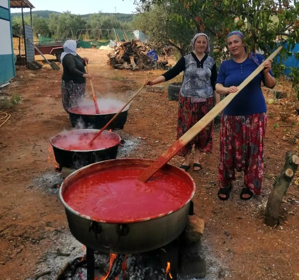 uzumlu women make winter tomato paste OVCFzfVR