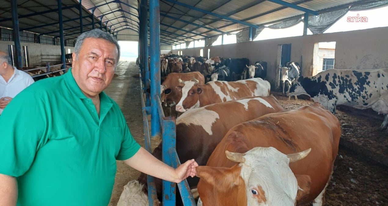 gurer et fiyatlarina isyan etti uretici degil ithalat kazaniyor 4FdsxnRt.jpg