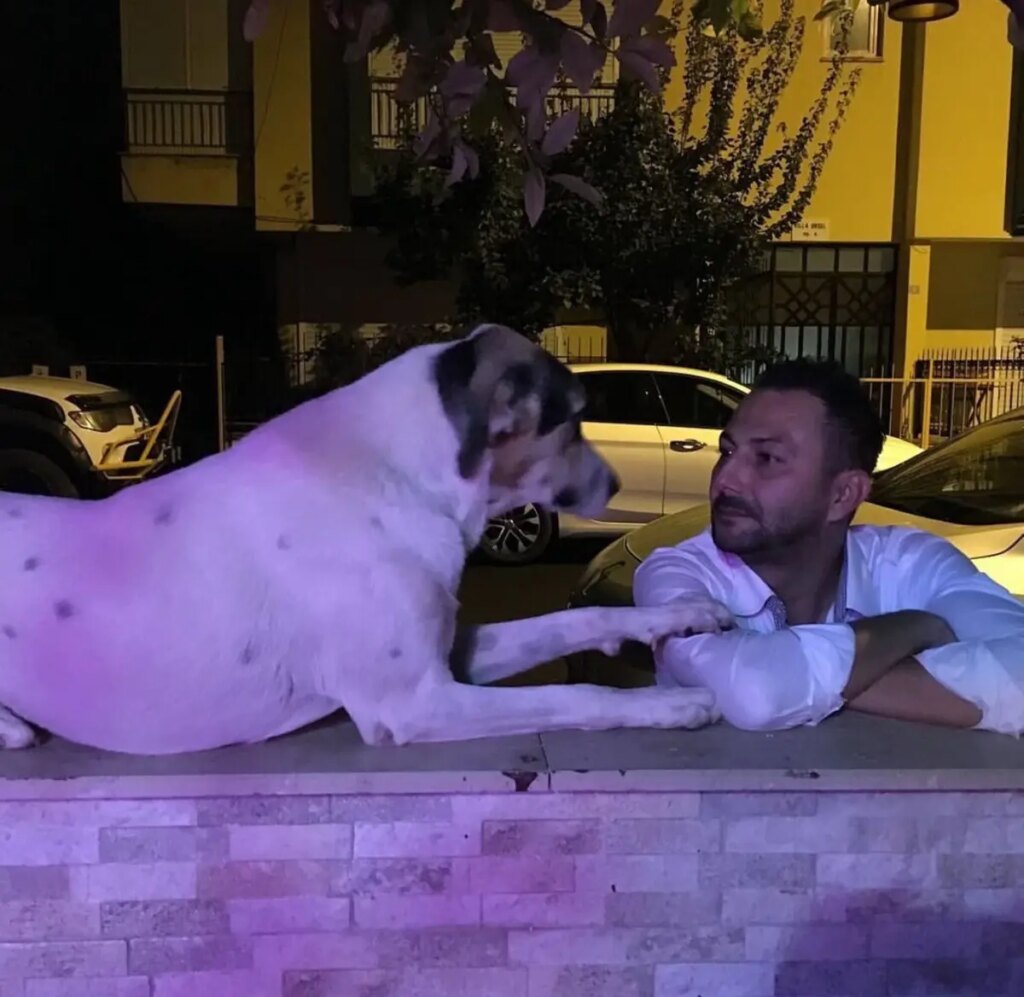 emekli polis kopegi vurdu LJFRfDdk.jpg