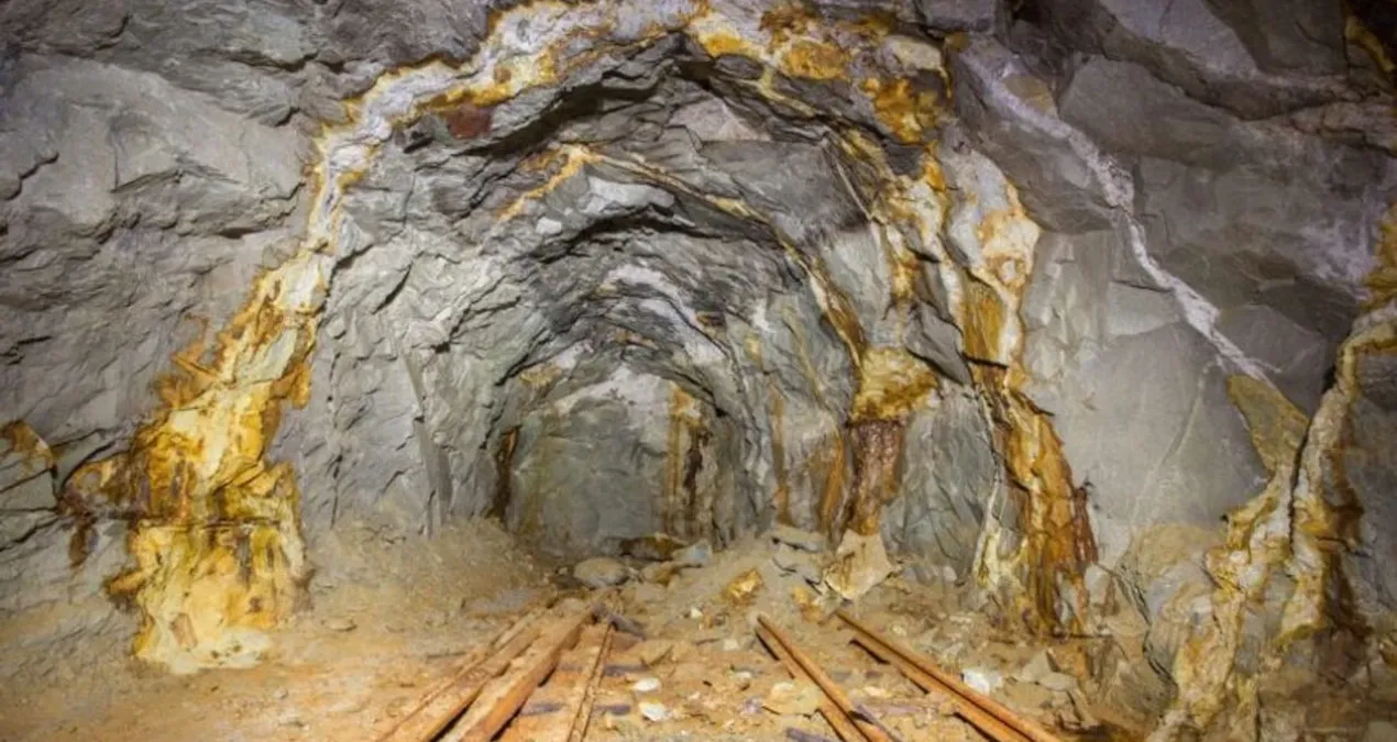 o ilimizin basina talih kusu kondu bugun milyarlarca liralik altin rezervi kesfedildi eSmRlbEK.jpg