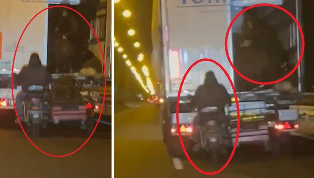 yoldaki tirdan koyun caldilar kaza yapinca hayvanlari birakip kactilar Xbu3UTMK.jpg