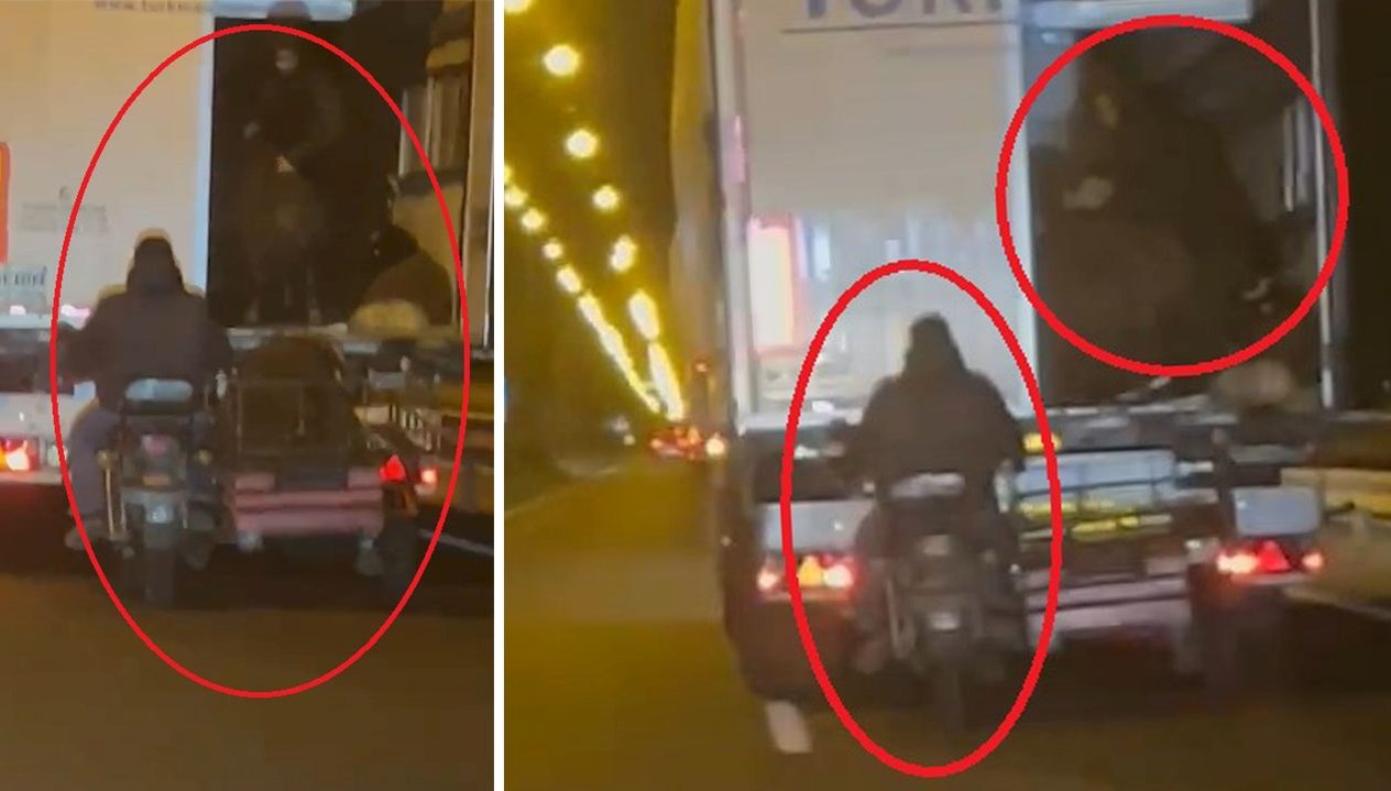 yoldaki tirdan koyun caldilar kaza yapinca hayvanlari birakip kactilar Xbu3UTMK.jpg