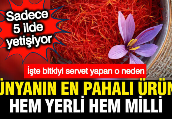 dunyanin-en-pahali-urunu-hem-yerli-ve-milli-hem-turkiyede-yetisiyor-degeri-servete-bedel-CIsDhC2L