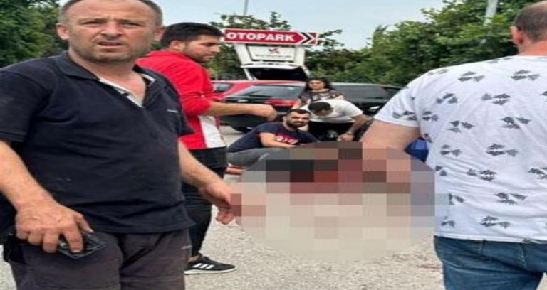 patronunun-bogazini-kesip-milyonluk-cek-ve-ziynet-esyalariyla-kacti-EHN9wwIG